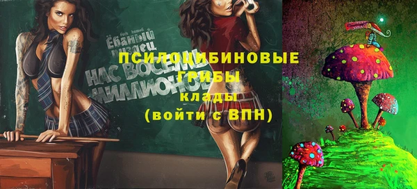 spice Володарск