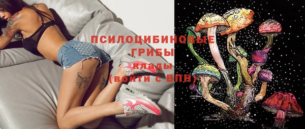 соль курить ск Весьегонск